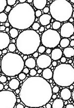 dessin facile de cercle